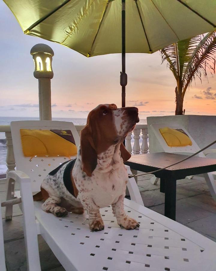 Hotel La Casona Beach El Guayabo Luaran gambar